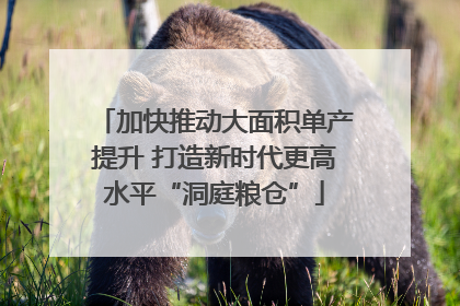 加快推动大面积单产提升 打造新时代更高水平“洞庭粮仓”