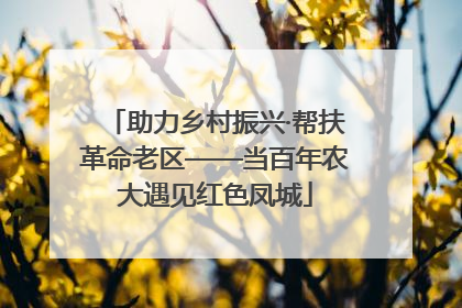 助力乡村振兴·帮扶革命老区——当百年农大遇见红色凤城