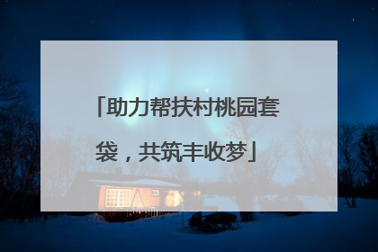 助力帮扶村桃园套袋，共筑丰收梦