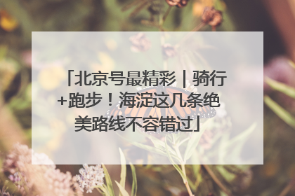 北京号最精彩｜骑行+跑步！海淀这几条绝美路线不容错过