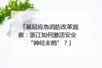 基层应急消防改革观察：浙江如何激活安全“神经末梢”？