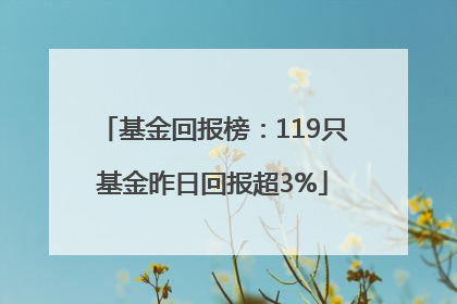 基金回报榜：119只基金昨日回报超3%