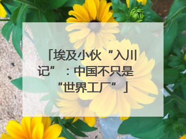 埃及小伙“入川记”：中国不只是“世界工厂”