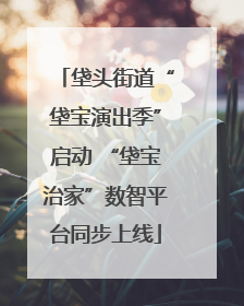垡头街道“垡宝演出季”启动 “垡宝治家”数智平台同步上线