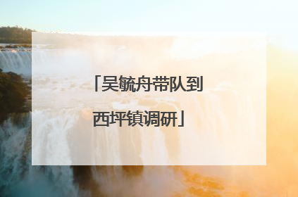 吴毓舟带队到西坪镇调研