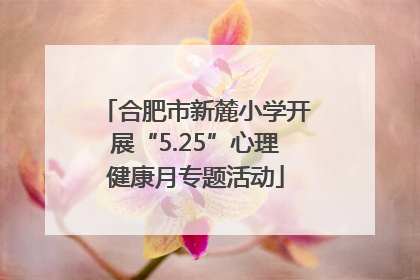 合肥市新麓小学开展“5.25”心理健康月专题活动