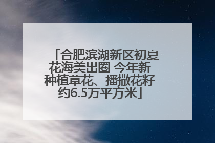 合肥滨湖新区初夏花海美出圈 今年新种植草花、播撒花籽约6.5万平方米