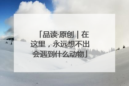 品读·原创｜在这里，永远想不出会遇到什么动物