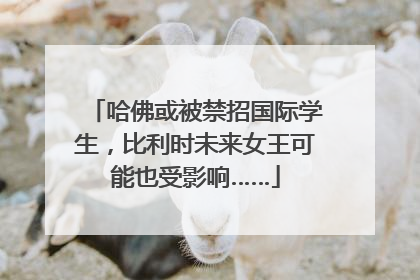 哈佛或被禁招国际学生，比利时未来女王可能也受影响……