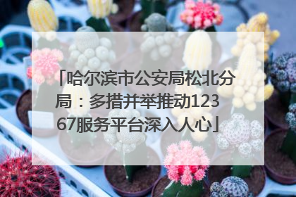 哈尔滨市公安局松北分局：多措并举推动12367服务平台深入人心