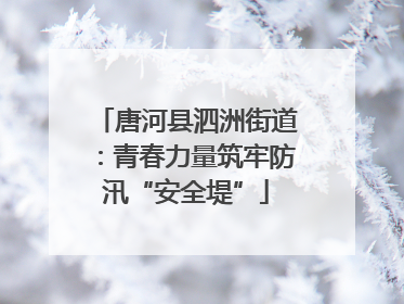 唐河县泗洲街道：青春力量筑牢防汛“安全堤”