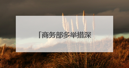 商务部多举措深挖潜力提振消费