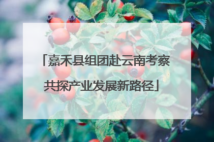 嘉禾县组团赴云南考察 共探产业发展新路径