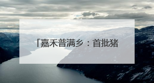 嘉禾普满乡：首批猪肚菇菌棒入棚 “小蘑菇”撑起致富伞