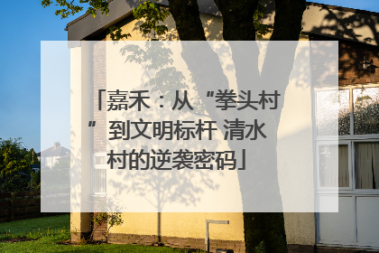 嘉禾：从“拳头村”到文明标杆 清水村的逆袭密码