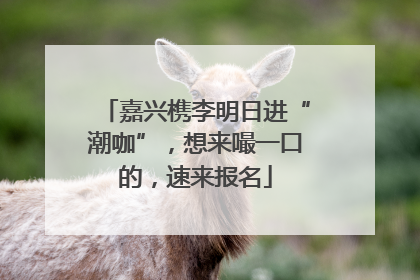 嘉兴槜李明日进“潮咖”，想来嘬一口的，速来报名