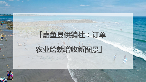嘉鱼县供销社：订单农业绘就增收新图景
