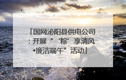 国网泌阳县供电公司：开展“‘粽’享清风 •廉洁端午”活动