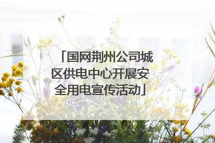 国网荆州公司城区供电中心开展安全用电宣传活动