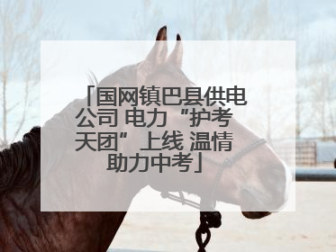 国网镇巴县供电公司 电力“护考天团”上线 温情助力中考