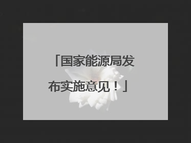 国家能源局发布实施意见！