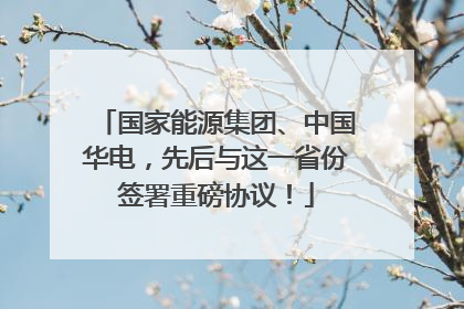 国家能源集团、中国华电，先后与这一省份签署重磅协议！