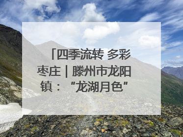 四季流转 多彩枣庄｜滕州市龙阳镇：“龙湖月色”向日葵花海 绘就乡村振兴新画卷