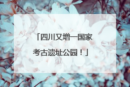四川又增一国家考古遗址公园！