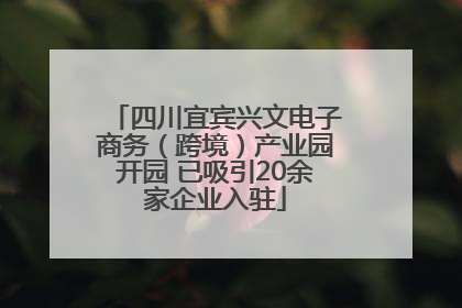 四川宜宾兴文电子商务（跨境）产业园开园 已吸引20余家企业入驻