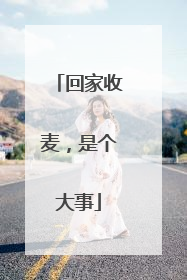 回家收麦，是个大事