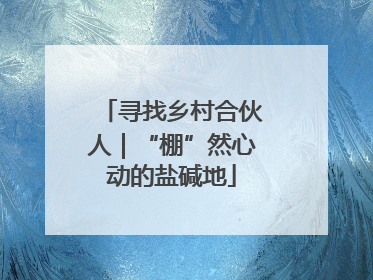 寻找乡村合伙人｜“棚”然心动的盐碱地
