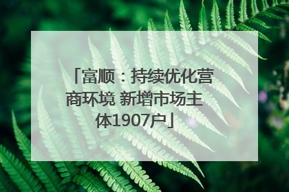 富顺：持续优化营商环境 新增市场主体1907户