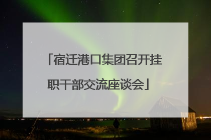 宿迁港口集团召开挂职干部交流座谈会