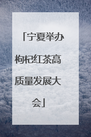 宁夏举办枸杞红茶高质量发展大会