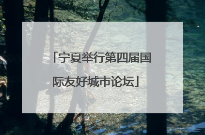宁夏举行第四届国际友好城市论坛
