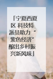 宁夏西夏区 科技特派员助力“紫色经济”酿出乡村振兴新风味