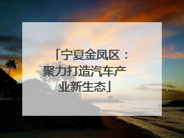 宁夏金凤区：聚力打造汽车产业新生态