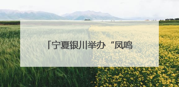 宁夏银川举办“凤鸣湖城”招才引智大会