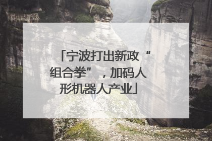 宁波打出新政“组合拳”，加码人形机器人产业
