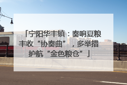 宁阳华丰镇：奏响夏粮丰收“协奏曲”，多举措护航“金色粮仓”