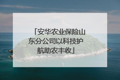 安华农业保险山东分公司以科技护航助农丰收