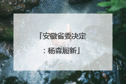安徽省委决定：杨森履新