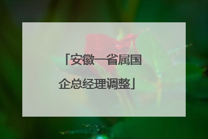 安徽一省属国企总经理调整