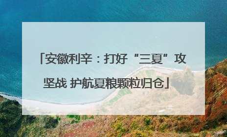 安徽利辛：打好“三夏”攻坚战 护航夏粮颗粒归仓