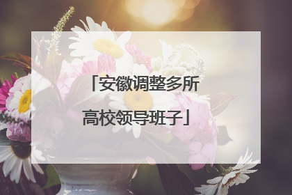 安徽调整多所高校领导班子