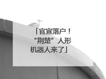 官宣落户！“荆楚”人形机器人来了