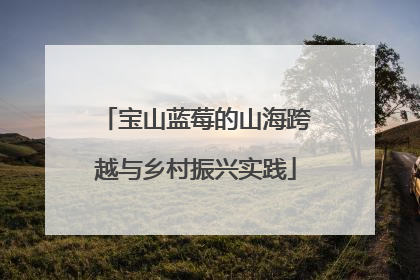宝山蓝莓的山海跨越与乡村振兴实践