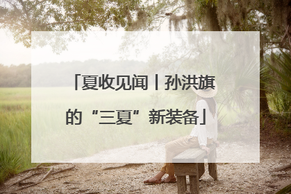 夏收见闻丨孙洪旗的“三夏”新装备