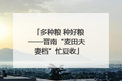 多种粮 种好粮——晋南“麦田夫妻档”忙夏收