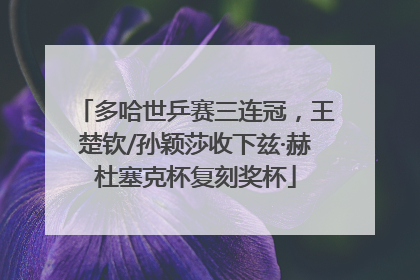 多哈世乒赛三连冠，王楚钦/孙颖莎收下兹·赫杜塞克杯复刻奖杯